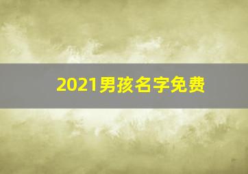 2021男孩名字免费,2021起名字大全男孩免费用生肖宜用字取名