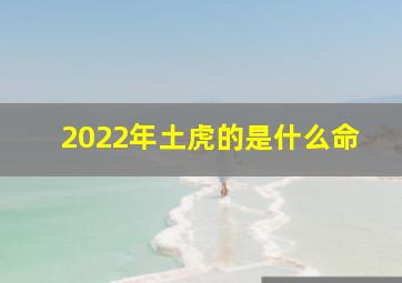 2022年土虎的是什么命,2022年出生的属虎人是什么命