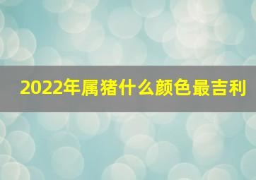 2022年属猪什么颜色最吉利,2022年2月生肖猪幸运色和吉祥数字分别是什么肖猪忌红色