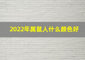 2022年属鼠人什么颜色好,属鼠人贵人与幸运颜色、方位2022