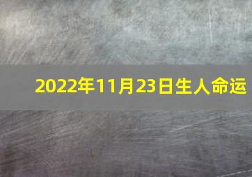 2022年11月23日生人命运,五行看命：2022年11月出生的男孩什么命属于行大运的富贵命