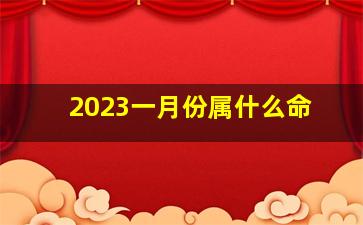 2023一月份属什么命,2023年1月15日出生的宝宝是什么命