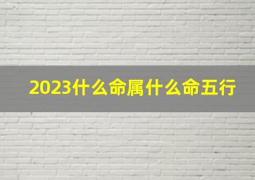 2023什么命属什么命五行,2023年属兔五行属什么命2023年出生的属兔人性格