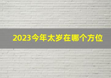 2023今年太岁在哪个方位,巨匠详解：属猴2023年全年运势运程及每月运程