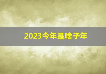 2023今年是啥子年,今年2023属什么年