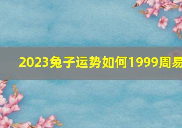 2023兔子运势如何1999周易,75年8月30的兔23年运势