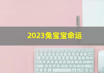 2023兔宝宝命运,2023年属兔什么水命2023年什么命金木水火土