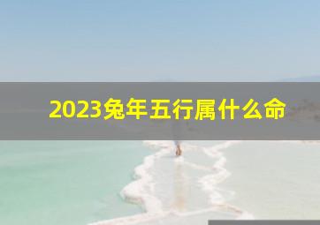 2023兔年五行属什么命,2023年是什么兔五行属什么属兔命运需脚踏实地