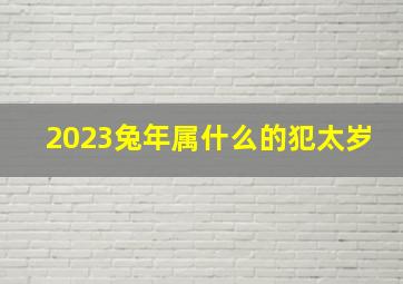 2023兔年属什么的犯太岁,2023年犯太岁的5个属相