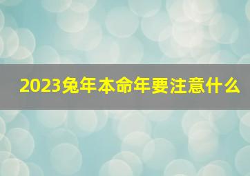 2023兔年本命年要注意什么,2023年兔年本命年属兔本命年要注意什么