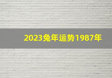 2023兔年运势1987年,87年的属兔男命2023年运势详解大全详细剖析