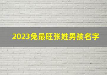 2023兔最旺张姓男孩名字,男孩属兔起名字大全2023年最旺男孩名字