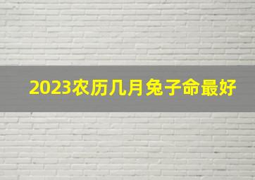 2023农历几月兔子命最好,2023年生娃避开农历几月