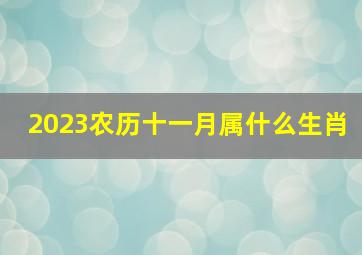 2023农历十一月属什么生肖,2023年是什么年生肖