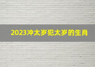 2023冲太岁犯太岁的生肖,2023犯太岁的属相表