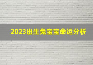 2023出生兔宝宝命运分析,2023年属兔的五月出生好不好农历五月的兔宝宝命运解析