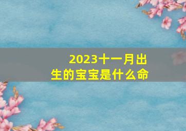 2023十一月出生的宝宝是什么命,2023年11月22日出生的宝宝命硬不硬衣食无忧命带福气