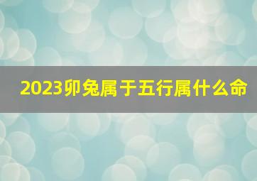 2023卯兔属于五行属什么命,生肖兔2023本命年怎么样