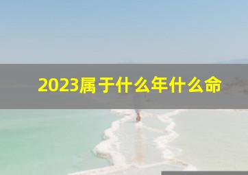 2023属于什么年什么命,2023是什么年属什么年什么命