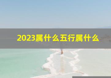 2023属什么五行属什么,2023年年五行到底属什么呢