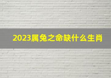 2023属兔之命缺什么生肖,2023年兔年是什么命五行属什么