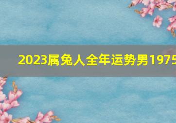 2023属兔人全年运势男1975,1975年和2023年属兔的运势如何