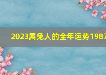 2023属兔人的全年运势1987,1987年属兔2023年全年运势及运程虚无缥缈有惊有喜