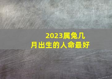 2023属兔几月出生的人命最好,2023年兔年几月出生好2023年是金兔还是木兔