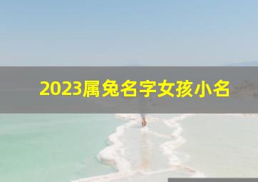 2023属兔名字女孩小名,2023年兔宝宝乳名大全好听顺口的宝宝小名