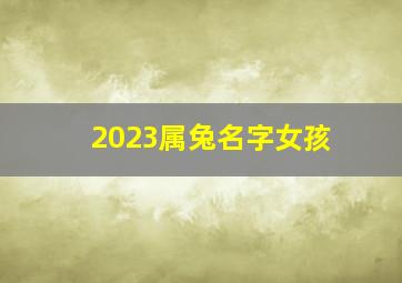 2023属兔名字女孩,2023年属兔宝宝取名女孩兔宝宝取名字女孩