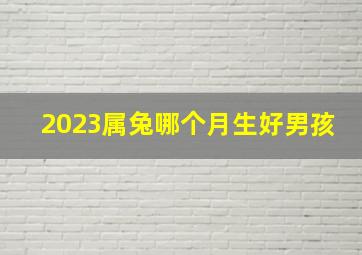 2023属兔哪个月生好男孩,2023属兔哪个月生好男孩子