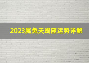 2023属兔天蝎座运势详解,天蝎座2023年天蝎座运势详解