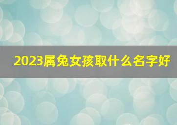 2023属兔女孩取什么名字好,女宝宝名字大全2023属兔