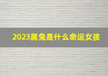 2023属兔是什么命运女孩,2023年出生的人什么命格2023年出生的人五行属什么命