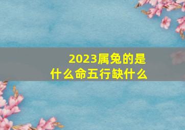 2023属兔的是什么命五行缺什么,2023兔是什么命 五行属什么