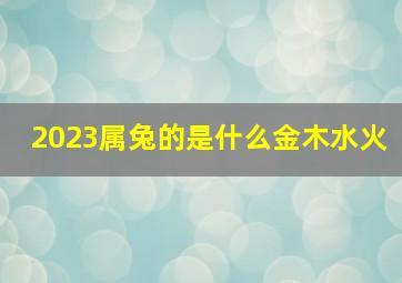 2023属兔的是什么金木水火,属兔五行属什么