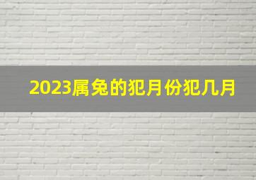 2023属兔的犯月份犯几月,2023年兔宝宝忌讳农历几月出生