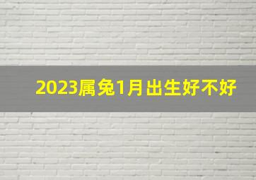 2023属兔1月出生好不好,2023年1月3日属什么生肖卯兔温和好静