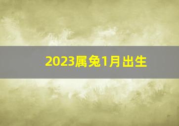 2023属兔1月出生,2023年1月是虎年还是兔年