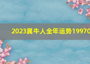 2023属牛人全年运势19970,97年属牛2023年必有一难