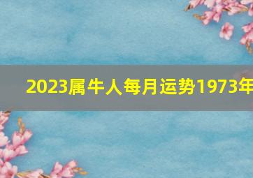 2023属牛人每月运势1973年,73年的属牛男命2023年运势详解大全具体分析