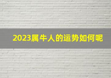 2023属牛人的运势如何呢,97年属牛2023年的运势