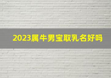 2023属牛男宝取乳名好吗,2021年男孩乳名