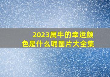 2023属牛的幸运颜色是什么呢图片大全集,2023年3月15日五行穿衣今日幸运颜色是什么