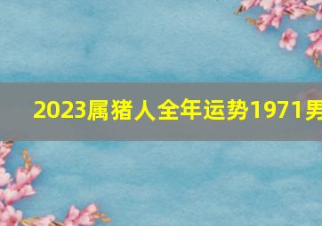 2023属猪人全年运势1971男,71年属猪男2023年的运势和婚姻