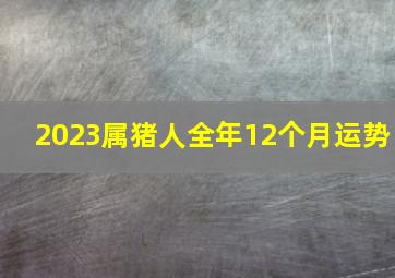 2023属猪人全年12个月运势,2023年属猪人的全年运势