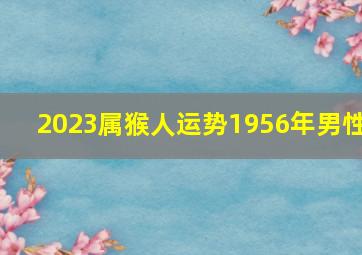 2023属猴人运势1956年男性,属猴在2023年运势怎么样