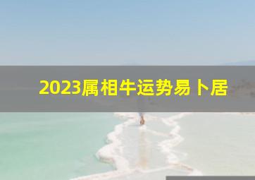 2023属相牛运势易卜居,2023属牛全年运势