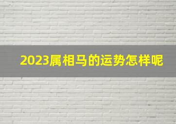 2023属相马的运势怎样呢,马年出生的人2023年运势及运程