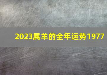 2023属羊的全年运势1977,羊人在2023年的全年运势